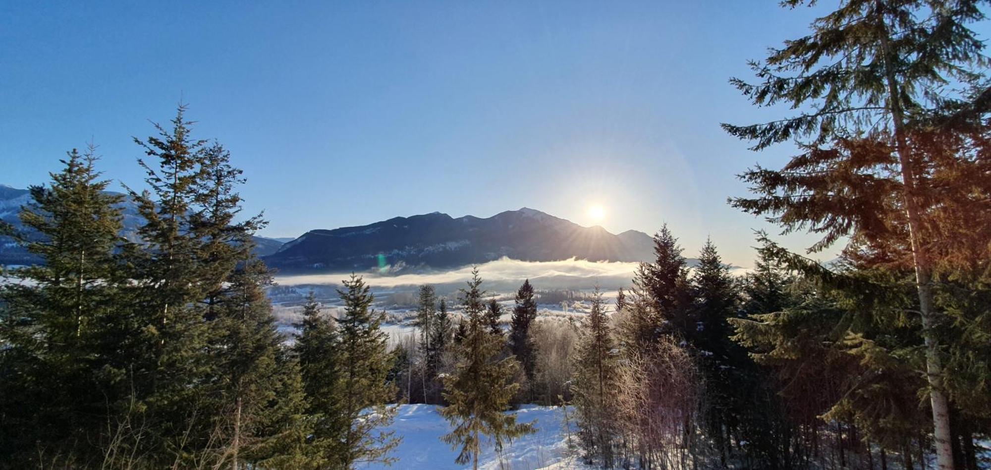 Alpine Meadows Lodge غولدن المظهر الخارجي الصورة